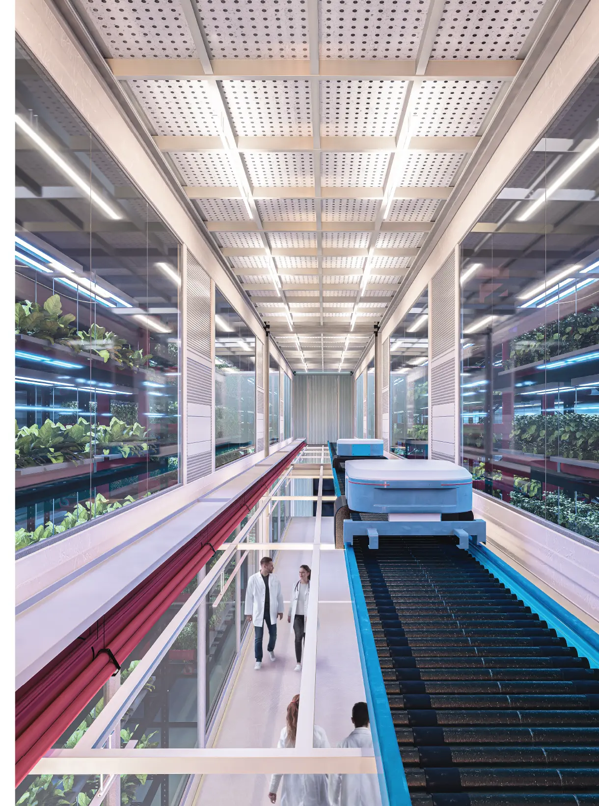 재배 모듈과 유지관리 동선이 결합된 Smart Farm 내부